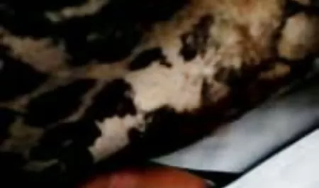 كتكوت أبيض تيرا جنس سكس محارم كوكس يحب