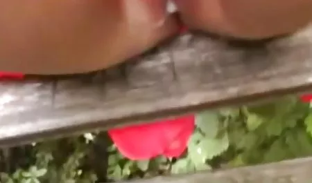 لوار وشم دي تير أو محارم جنس