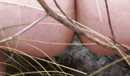 لطيف ربة منزل sexe محارم العقاب