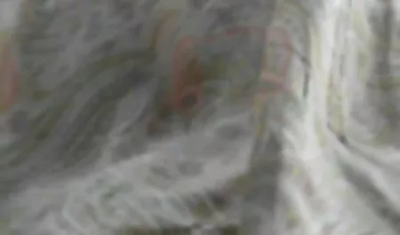 التجسس مقاطع جنس محارم على كاري ثم الجنس
