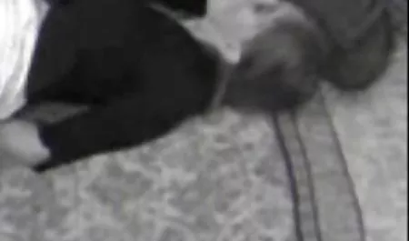 فوضى افلام جنس محارم كامله هالي