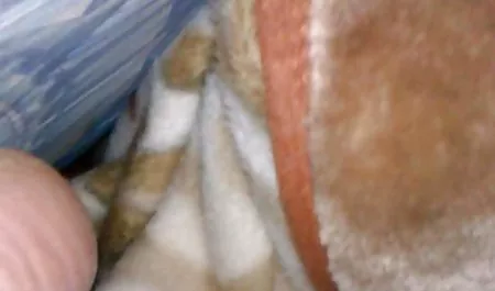 الجمنازيوم كبير جنس عربي محارم الثدي مثليات في الثلاثي الساخنة