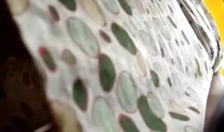فتاة على افلام محارم جنس الفتاة المثيرة أسمر تهمس العينين